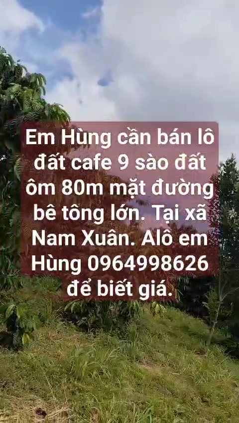 Đất Farm tại xã Nam Xuân, Quan Hóa 32400m² - Tiềm năng đầu tư cao!