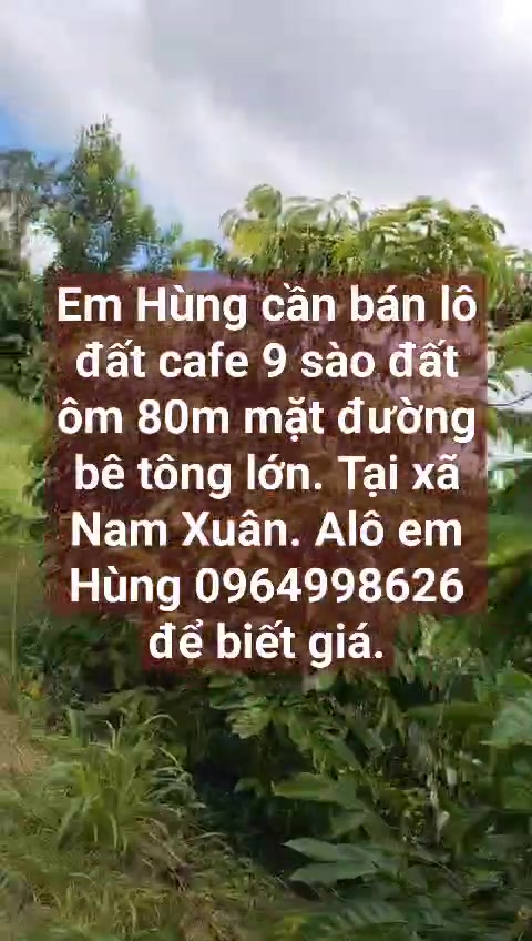 Đất Farm tại Thôn Đắc Hưng, Nam Xuân, 32400m² - Giá tốt thương lượng!