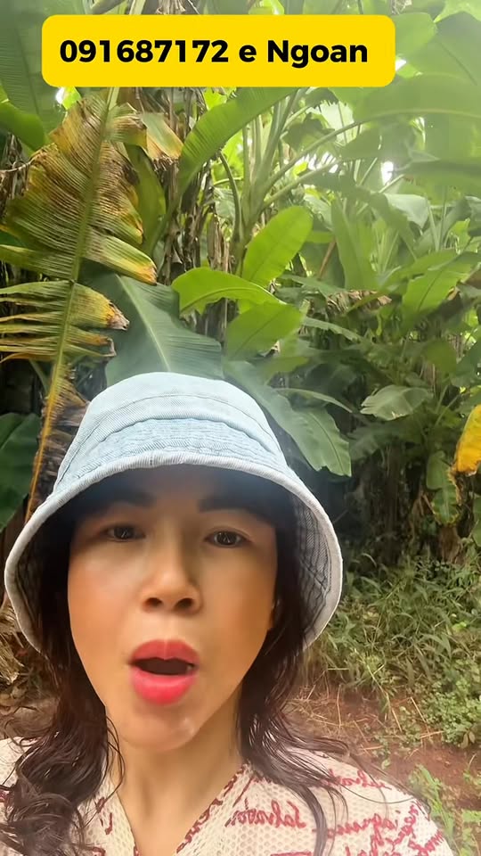 Đất vườn chuối 1,3 sào tại Long Tân, Đất Đỏ giá 1,45 tỷ - Cơ hội đầu tư tuyệt vời!