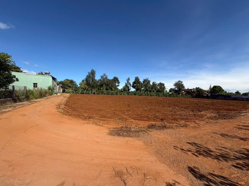 Đất thổ cư Trà Đa, Pleiku 150m² giá chỉ 500 triệu - Đầu tư sinh lời ngay!