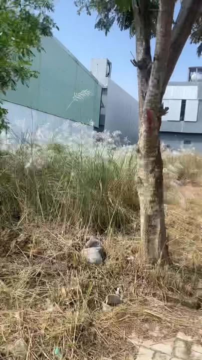 Đất nền Vĩnh Điện, Điện Bàn, Quảng Nam 126.25m² giá 2 tỷ - Đầu tư sinh lời cao!