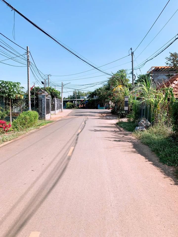 Đất nền đường Phan Đăng Lưu, Đất Đỏ, 125m² giá 1.6 tỷ - Cơ hội đầu tư tuyệt vời!