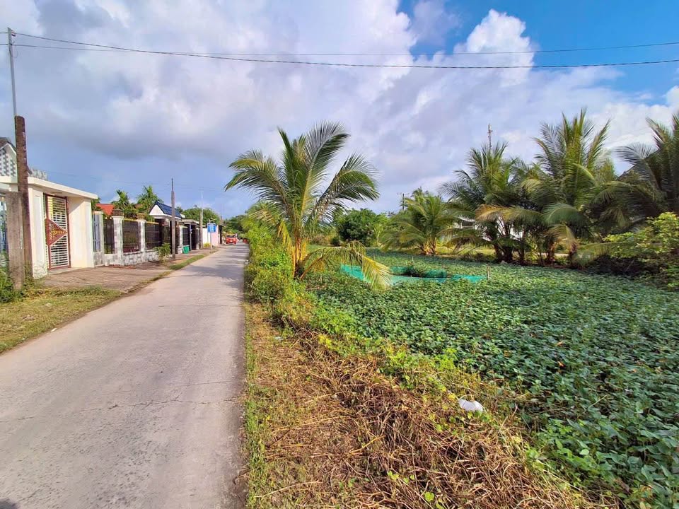 Đất nền mặt tiền kênh Lễ Quyền, Lý Văn Lâm, Cà Mau 551m² giá 2 tỷ - Cơ hội đầu tư tuyệt vời!