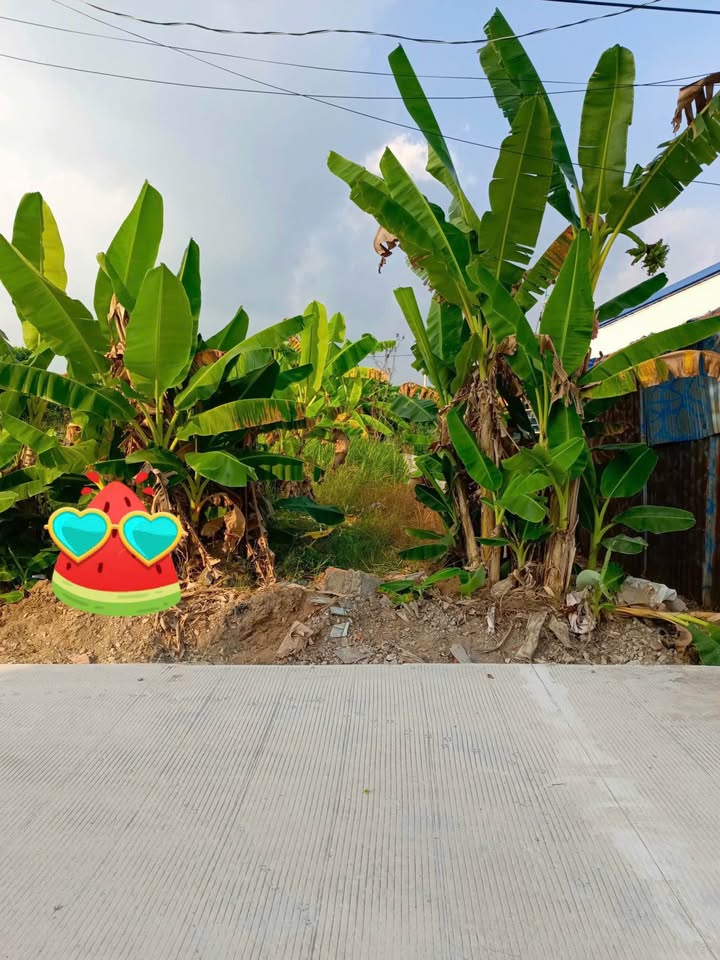 Đất thổ cư 95m² đường Mạc Thiên Tích, Vĩnh Thông, giá 630 triệu - Cơ hội đầu tư hấp dẫn!