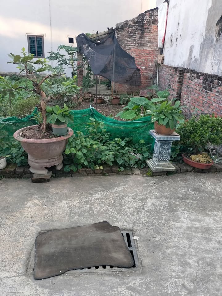 Đất nền Phú Thị Gia Lâm 53m² giá thỏa thuận - Đầu tư sinh lời nhanh!