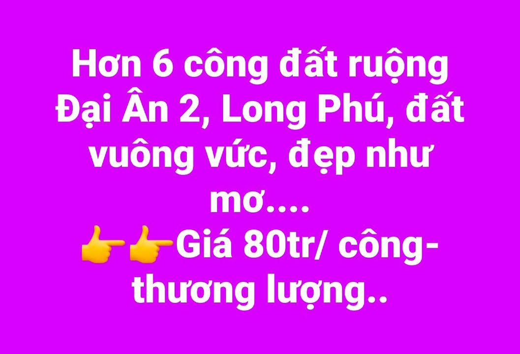 Đất nền Đại Ân 2, Long Phú 6000m² giá 80 triệu - Đất vuông vức, đẹp như mơ!