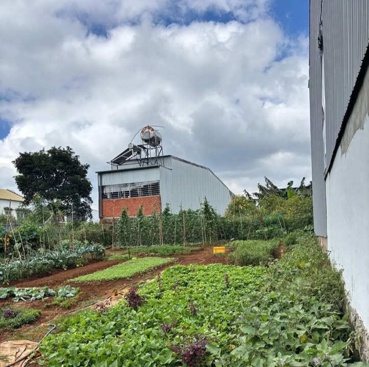 Đất nền Đắk Mil 125m² giá 1.15 tỷ - Chính chủ bán gấp!