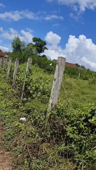 Đất nền Cát Tân, Phù Cát 165.5m² giá chỉ 200 triệu - Sổ đỏ chính chủ sẵn sàng công chứng!