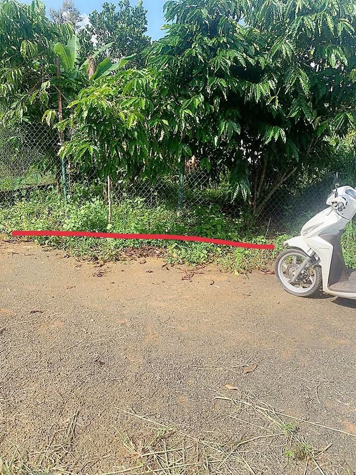 Đất thổ cư Bảo Lộc 165m² giá 1.25 tỷ - Đường nhựa, khu dân cư sầm uất!