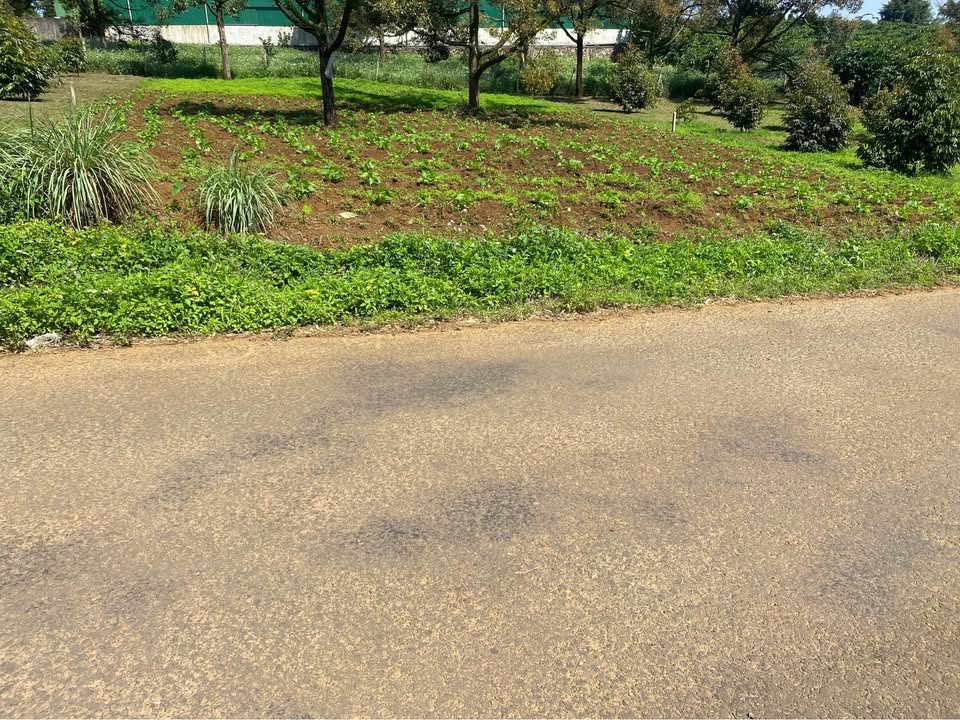 Đất nền Bảo Lộc 600m² giá thỏa thuận - View thoáng đẹp, thích hợp nghỉ dưỡng