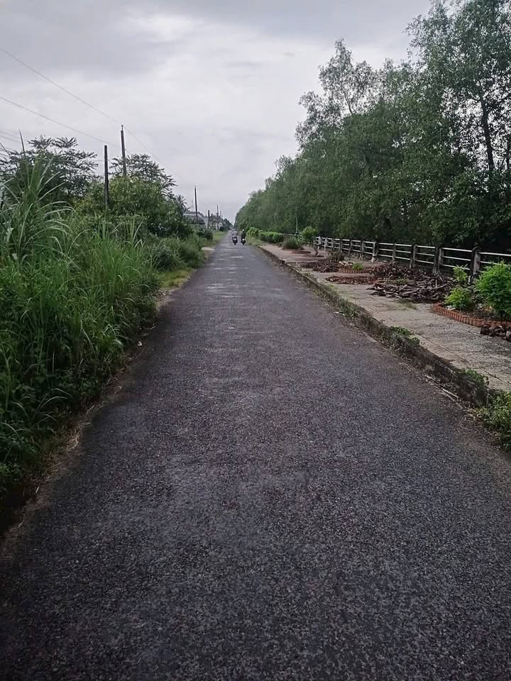 Đất thổ cư Hòa Thuận Trà Vinh 150m² giá 999 triệu - Cơ hội đầu tư sinh lời!