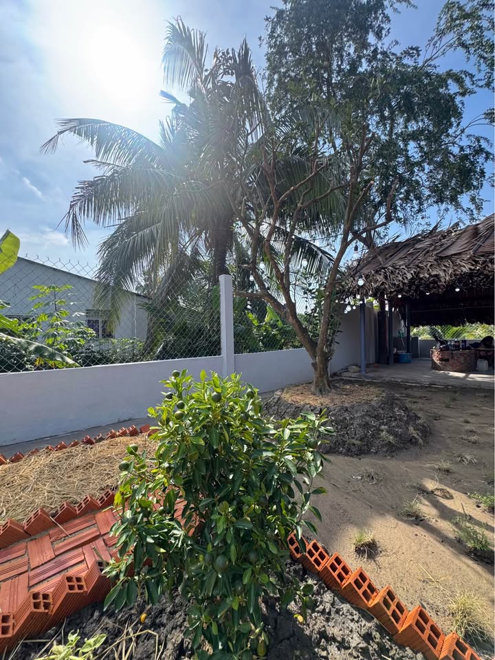 Nhà vườn nghỉ dưỡng Phương Thạnh, Càng Long 210m² giá 799 triệu - Đường nhựa ô tô vào tận nơi!