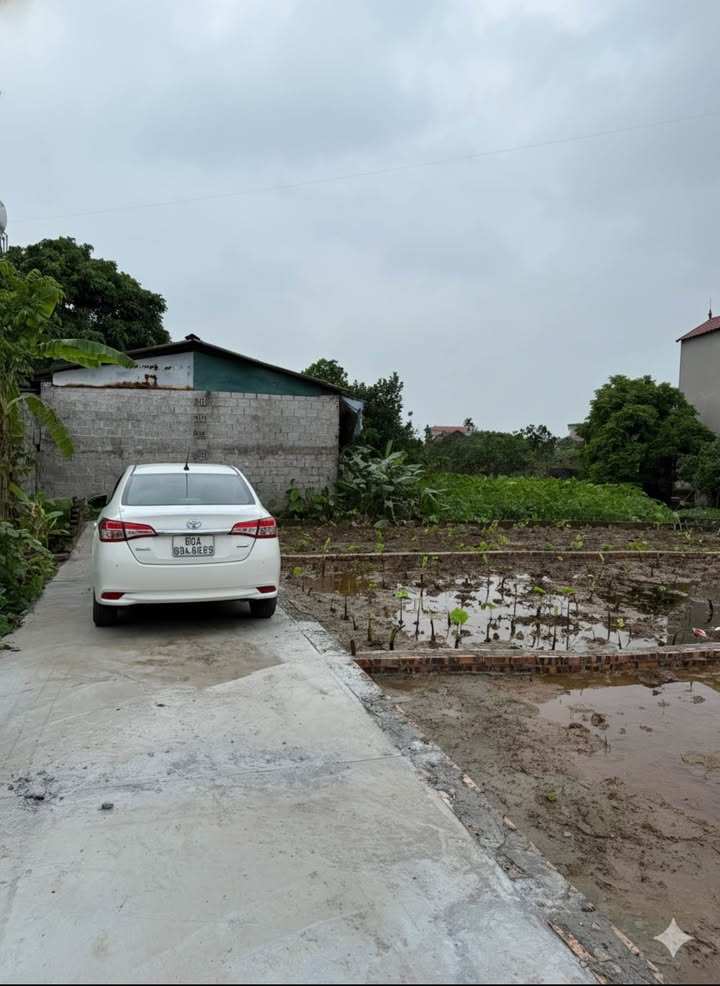 Đất nền Đông Tảo Khoái Châu 67m² giá 1.6 tỷ - Nằm gần Ecopark!