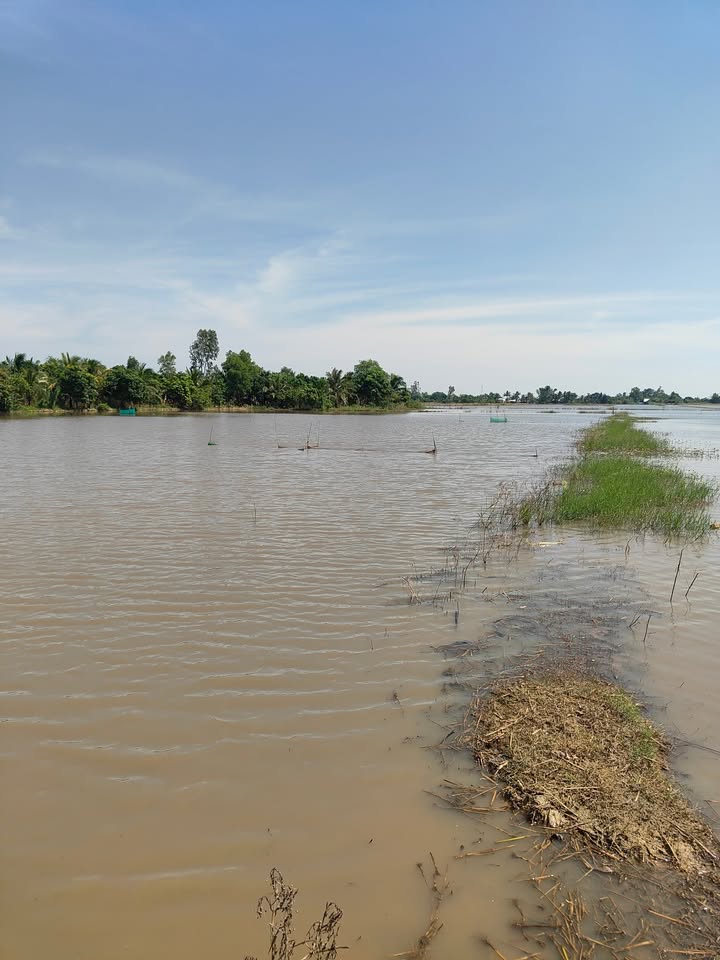 Đất nền Vĩnh Thông, Rạch Giá 1060m² giá 600 triệu - Cơ hội đầu tư hấp dẫn!