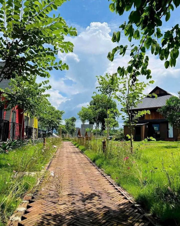 Homestay Cao Sơn, Lương Sơn, Hòa Bình 2642m² giá 10 tỷ - Cơ hội đầu tư hấp dẫn!