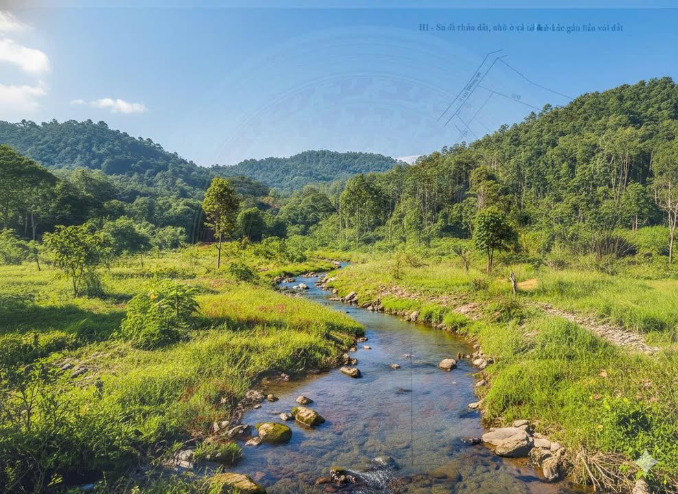 Đất nền 1100m² Tân Hưng, Đồng Phú chỉ 190 triệu - Đầu tư sinh lời ngay!