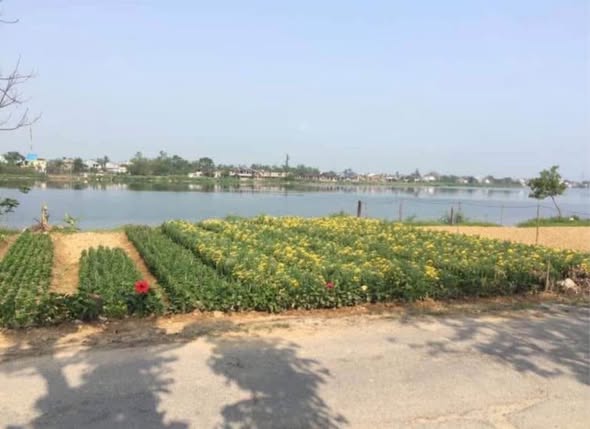 Đất nền Phú Mậu Huế 200m² giá 2 tỷ - Cơ hội đầu tư hiếm có!