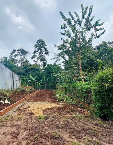 Đất nền 150m² tại đường D4, phường Tân An, Buôn Ma Thuột - Giá chỉ 1,68 tỷ!