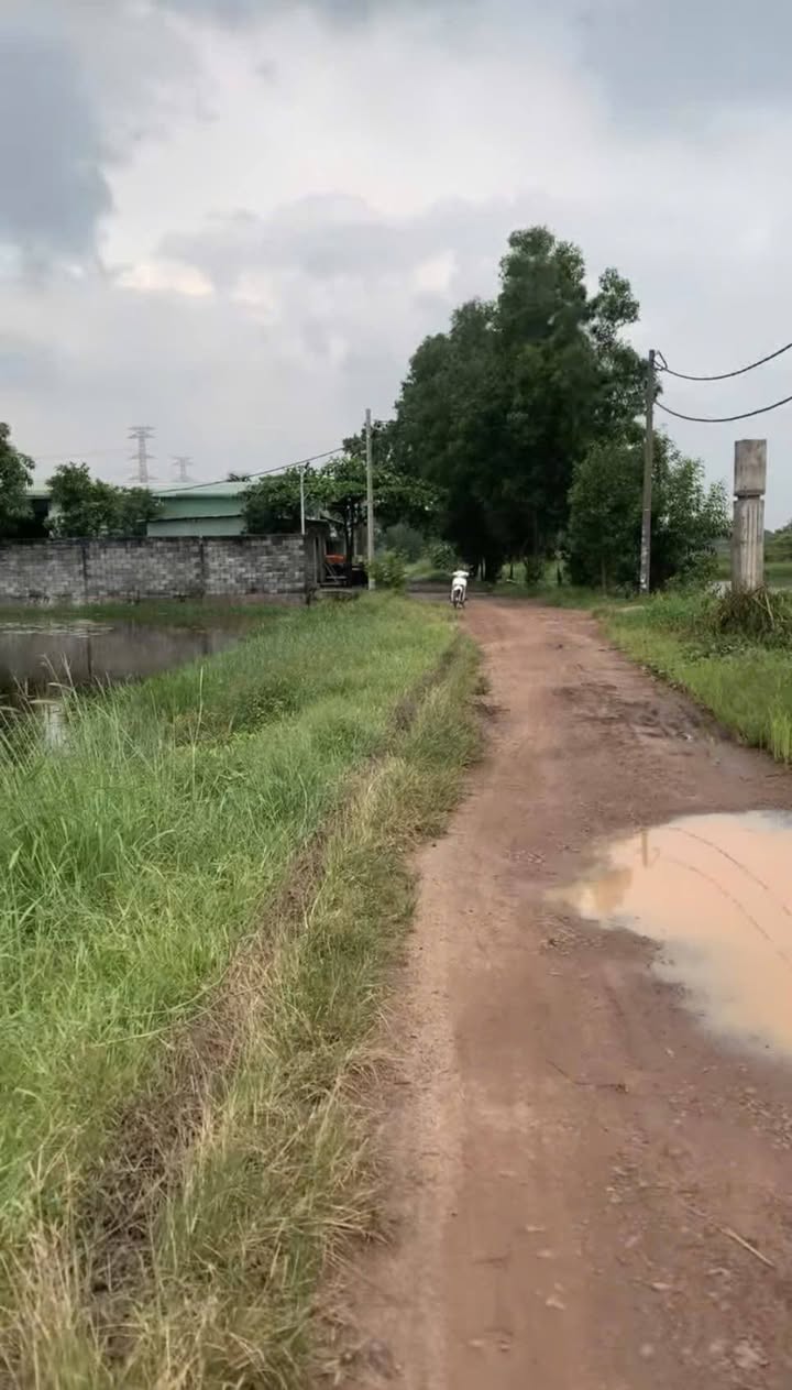 Đất mặt tiền Hẻm 321, xã Phú Hòa Đông 1957m² giá 3.5 triệu/m² - Cơ hội đầu tư lý tưởng!