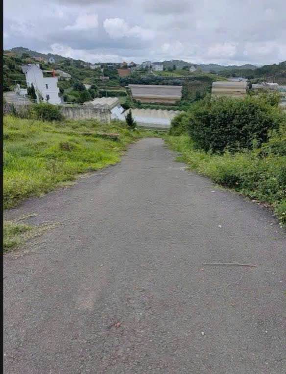 Đất Măng Lin, phường Lang Biang, Đà Lạt 200m² giá 5 tỷ - Đường ô tô rộng rãi!