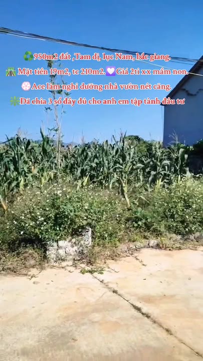 Đất nền 950m² tại Tam Dị, Lục Nam, Bắc Giang - Giá 2 tỷ, phù hợp nghỉ dưỡng!