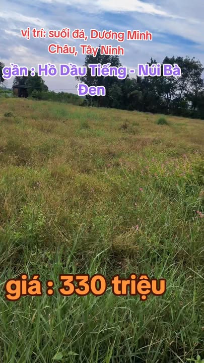 Đất nghỉ dưỡng Suối Đá, Dương Minh Châu 175m² giá 330 triệu - Phong thủy đẹp gần hồ Dầu Tiếng!