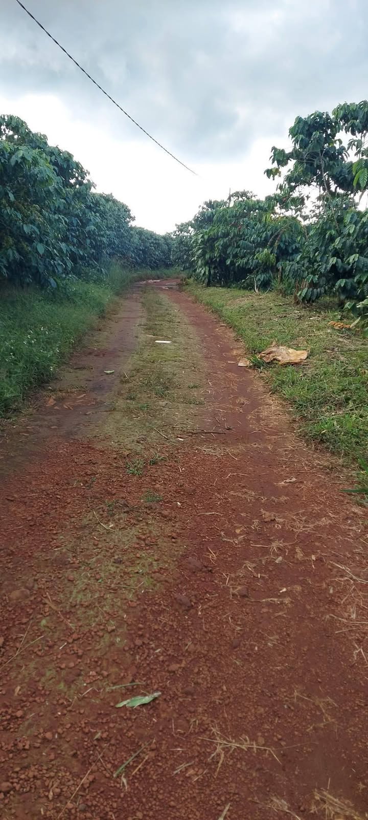 Đất thổ cư thôn 9, Bảo Lâm 20.000m² giá 270 triệu - Cơ hội đầu tư tuyệt vời!