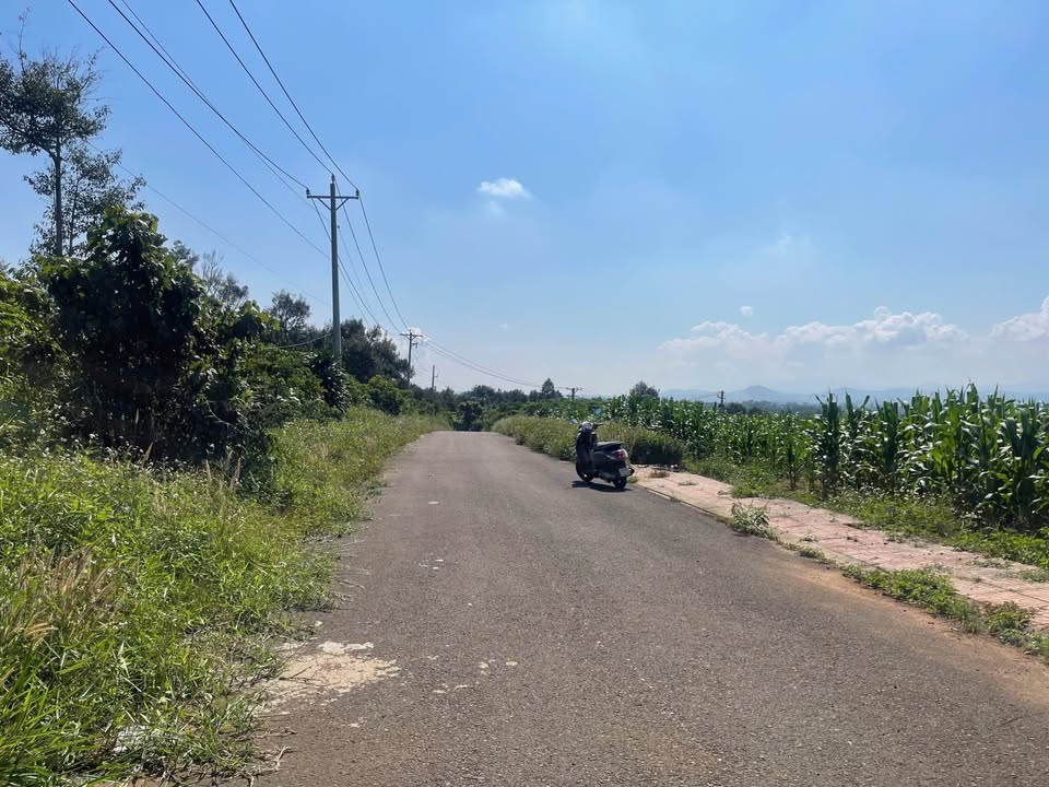 Đất nền Tân Lạc - Bảo Lâm 135.7m² giá 650 triệu - Sẵn thổ cư 75m²!