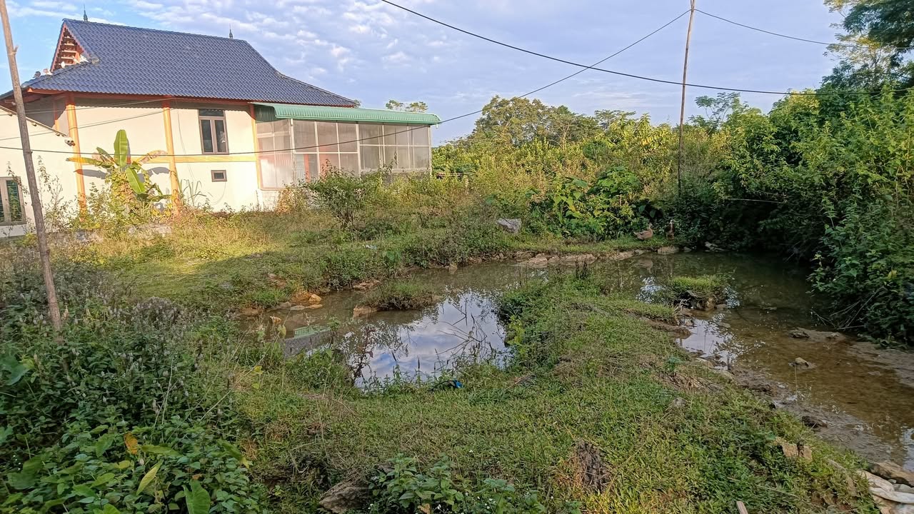 Đất nền Mường Hoa Phú Thọ 1000m² giá thỏa thuận - Cơ hội đầu tư lý tưởng!