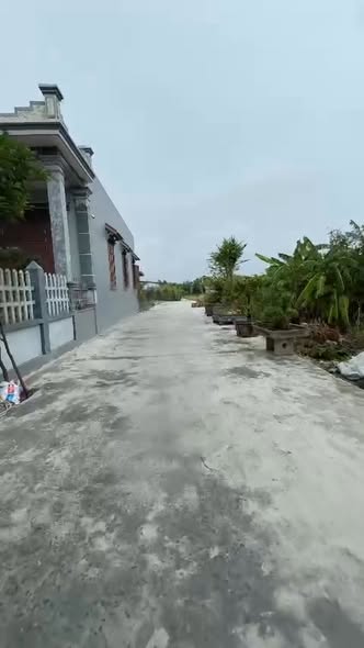 Đất nền đẹp Tiền Hải 196m² giá 1.6 tỷ - Gần Quốc lộ tiện lợi!