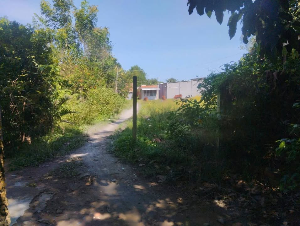 Đất Khu phố An Lợi, Trảng Bàng 350m² giá 750 triệu - Đường thông thoáng, đất sạch!