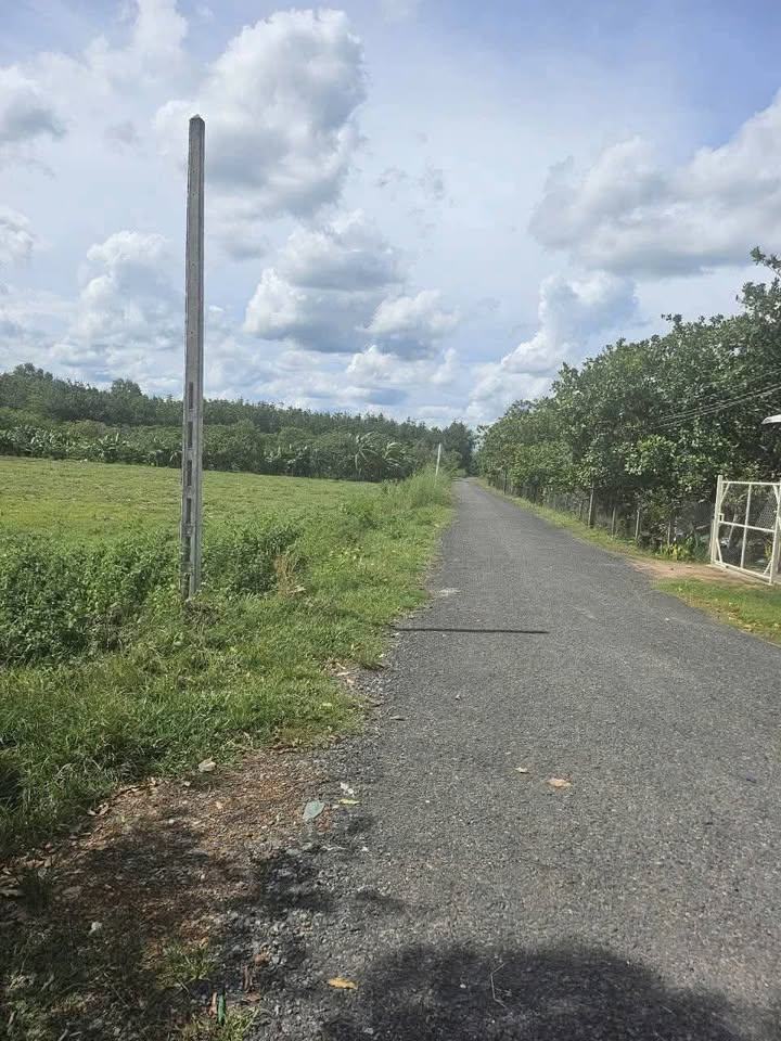 Đất nền mặt tiền đường nhựa Thạnh Bình, Tân Biên 175m² - Giá đầu tư hấp dẫn!