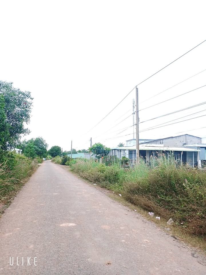 Đất mặt tiền nhựa DH 13, xã Phan Dương Minh Châu, 228m² giá chỉ 750 triệu - Cắt lỗ nhanh!