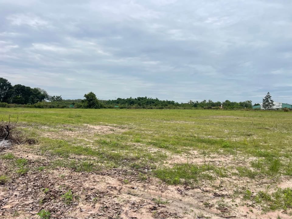 Đất nền 26.000m² xã Hiệp Thạnh - Gần khu công nghiệp, giá 11 tỷ thương lượng!