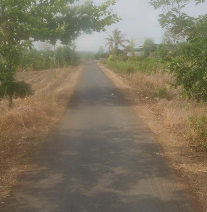 Đất trồng cây lâu năm tại xã Ea Nuôl, huyện Buôn Đôn, 4818m² - Giá tốt thương lượng!