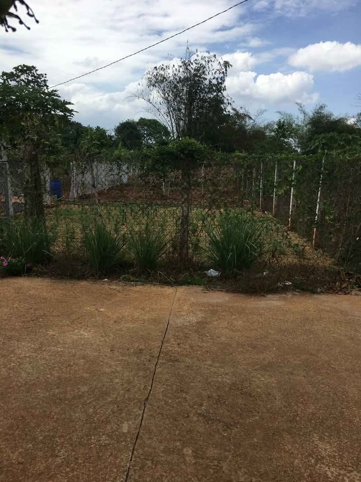 Đất Hòa Long 500m² giá thỏa thuận - Đường bê tông, ô tô vào tận nơi!