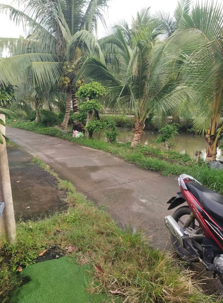 Nhà bán 1 lầu tại xã Bình Ân, Gò Công Đông, 407m² - Cơ hội đầu tư tuyệt vời!