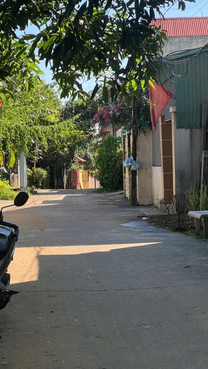 Đất nền Thụy Vân 133m² giá 1.6 tỷ - Cơ hội đầu tư hấp dẫn!