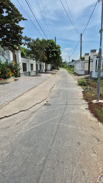 Đất lúa 1800m² Khu 4 Cần Đước, giá 1.4 tỷ - Cơ hội hiếm có!