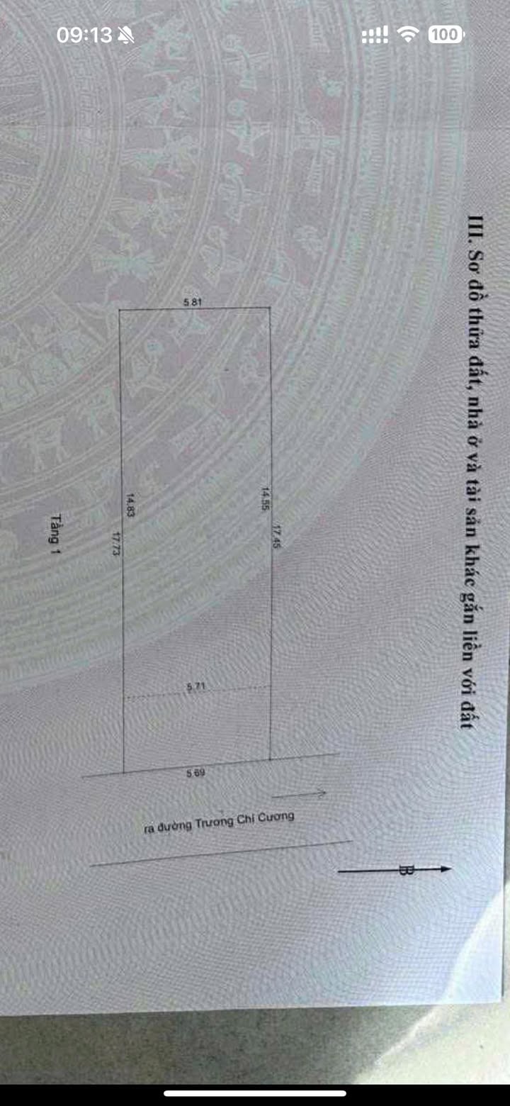 Nhà cấp 4 Đường Trương Chí Cương, Hải Châu, Đà Nẵng 101m² - Giá 6.1 tỷ, cho thuê ngay!