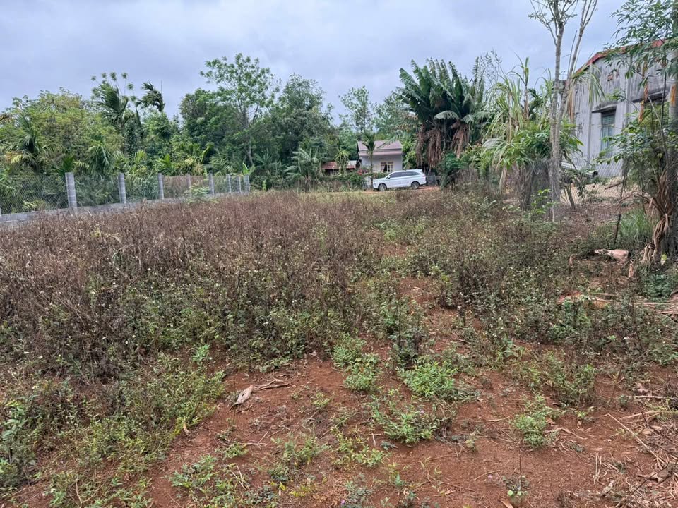 Đất nền Cư Kuin 850m² giá 950 triệu - Đầu tư sinh lời ngay!