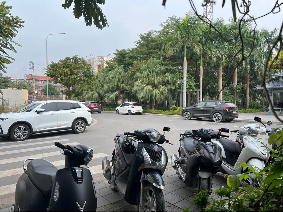 Đất biệt thự khu đô thị Dệt Nam Định 240m² - Vị trí cực đẹp gần công viên