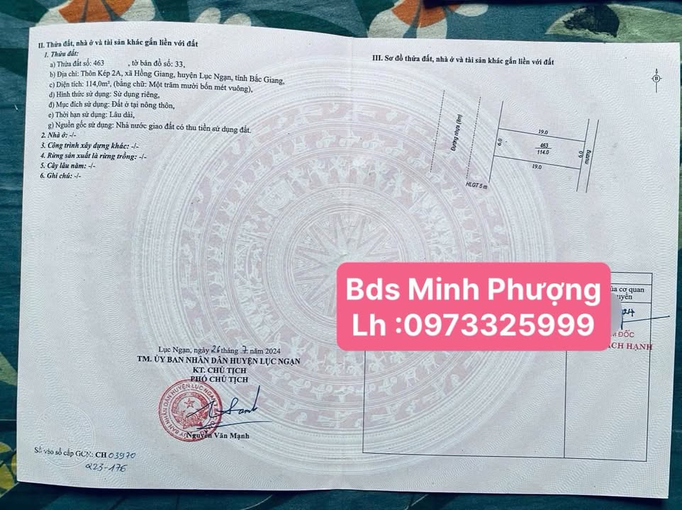 Đất nền Hồng Giang Lục Ngạn 114m² giá thỏa thuận - Lô đẹp không lỗi nhỏ!