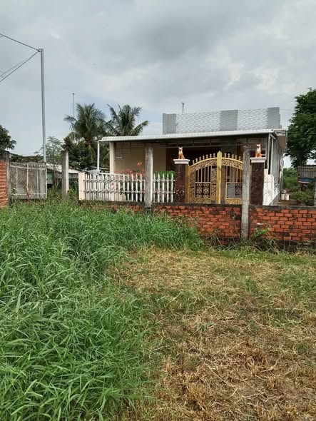 Đất nền xã Vĩnh An, Ba Tri 273m² giá 999 triệu - Thích hợp kinh doanh đa ngành nghề!