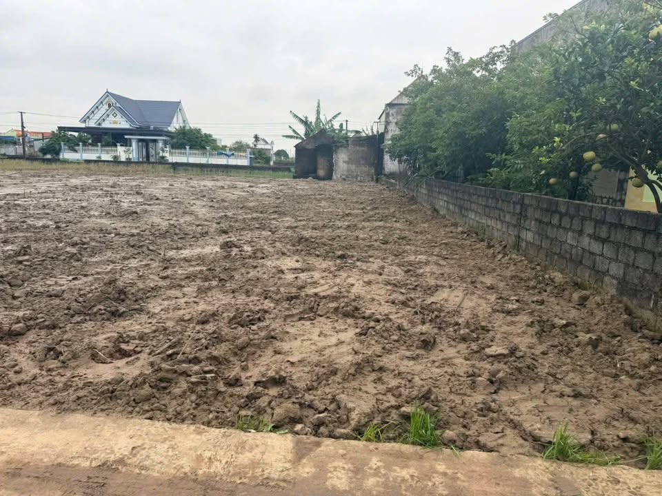 Đất nền Đa Lộc Hậu Lộc 147m² giá thỏa thuận - Đường thông tứ phía