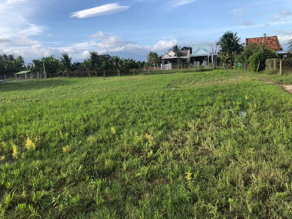 Đất thổ cư 5900m² Thôn Bình Sơn, Bắc Ninh Hòa - Giá chỉ 2.95 tỷ - Cơ hội đầu tư tuyệt vời!