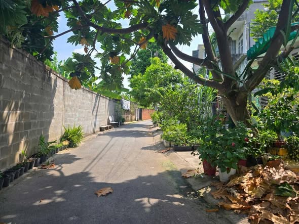 Lô đất hẻm xe hơi Đình Phong Phú 91m² giá 5.9 tỷ - Tiềm năng phát triển cao!