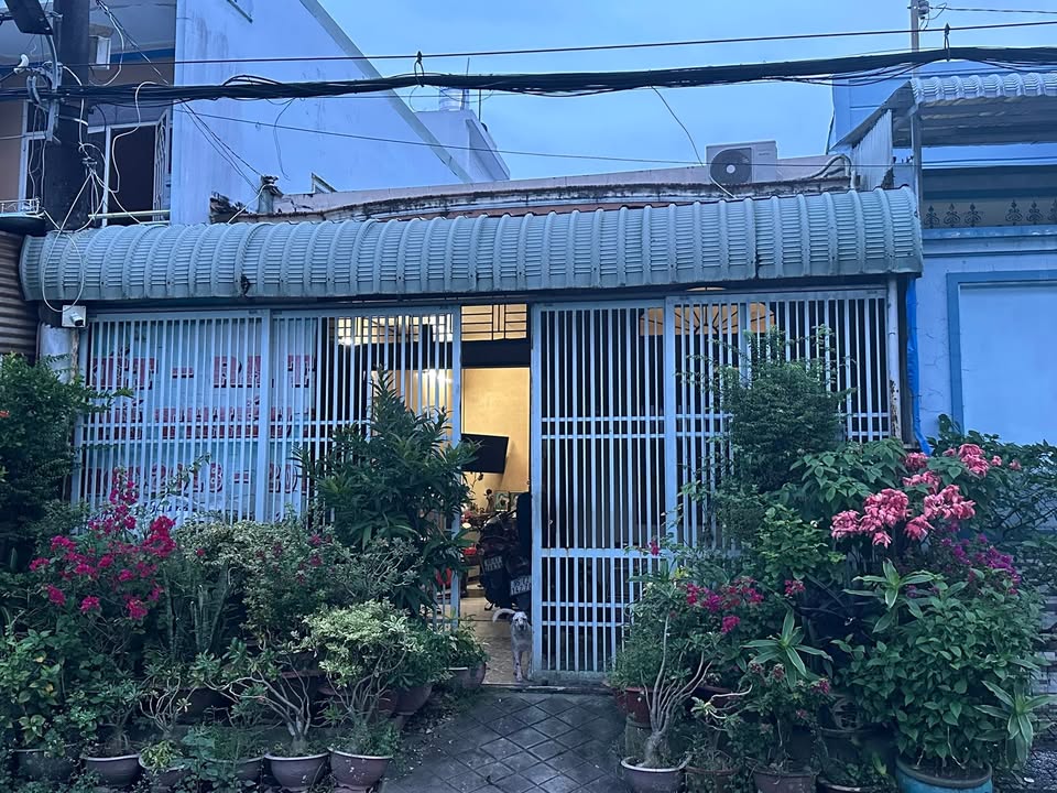 Nhà cấp 4 hẻm 244 đường CMT8 quận Bình Thủy 84m² giá 3.7 tỷ - Bán gấp, thương lượng ngay!