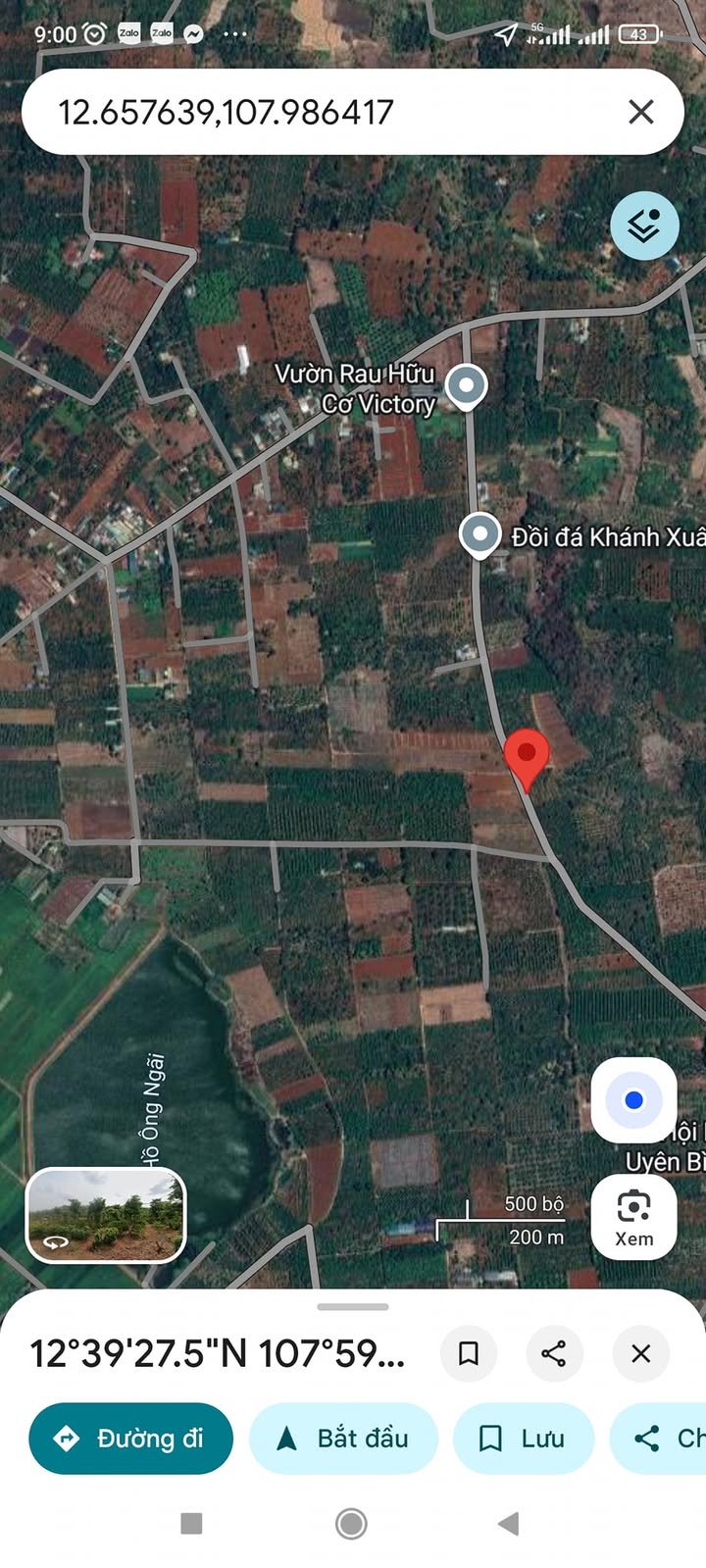 Đất nền 550m² mặt tiền đường nhựa Khánh Xuân - Giá chỉ 599 triệu!