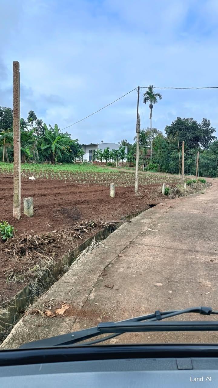 Đất thổ cư Phú Xuân 135m² giá chỉ 299 triệu - Đầu tư sinh lời ngay!